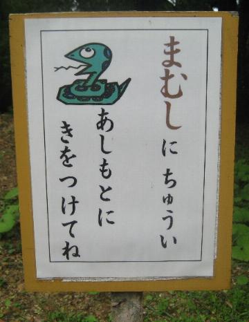 ϥٷƽǤ