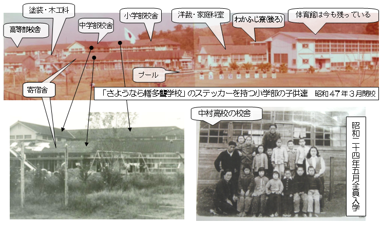 褦ʤ鹻