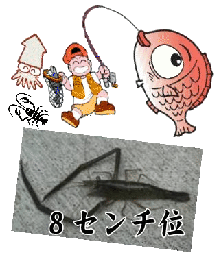 ӡʥƥʥӡ