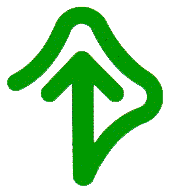 ޡ